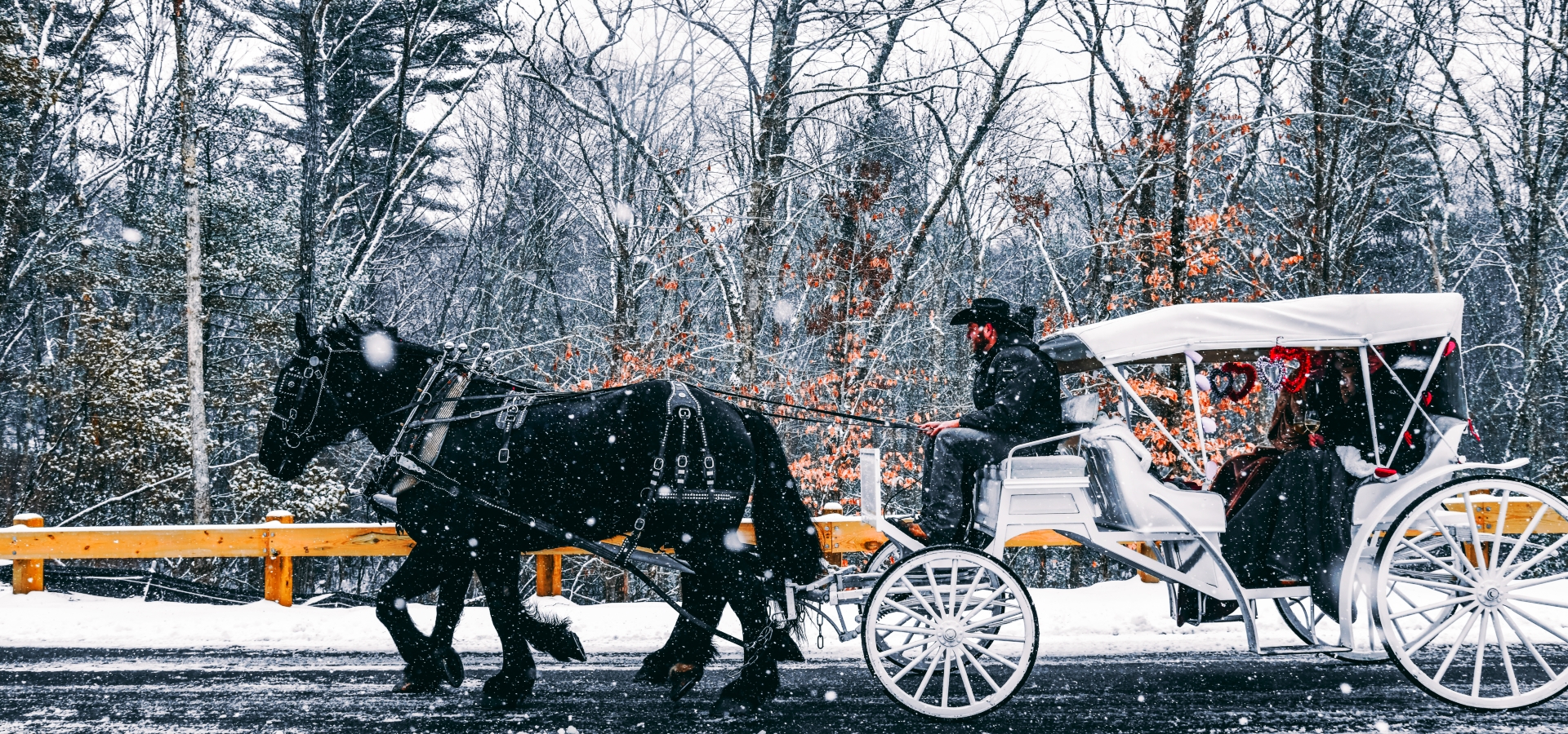 A horse-drawn carriage moves through a snowy landscape, with a driver and passengers under a white canopy, surrounded by winter trees.