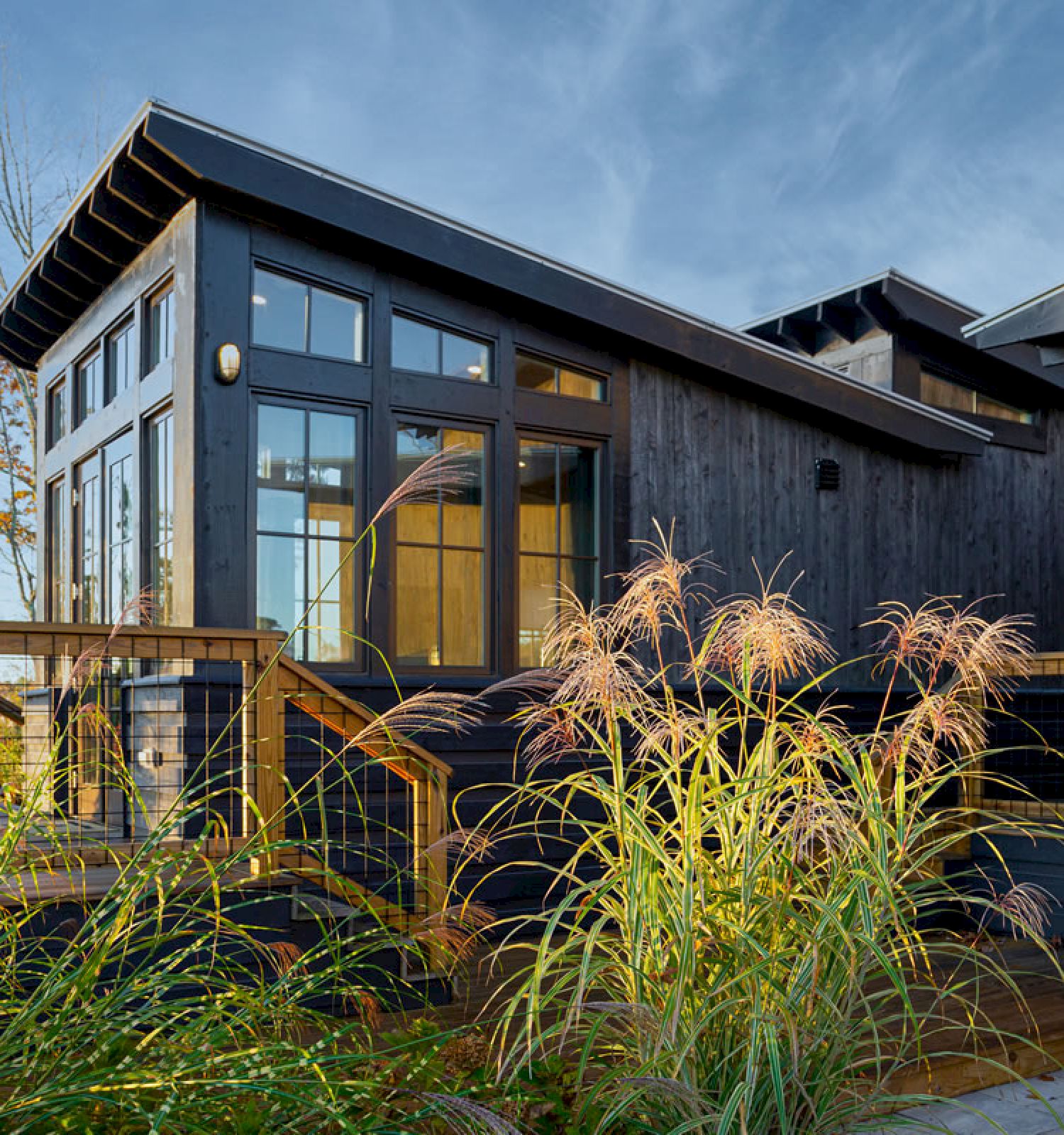 A modern cabin with large windows and wood siding is surrounded by plants and tall grasses, with a pathway leading to a door.