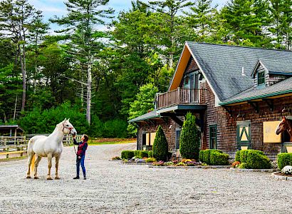 A person with a white horse stands outside a barn, with another horse looking out from a window, surrounded by lush trees on a sunny day.