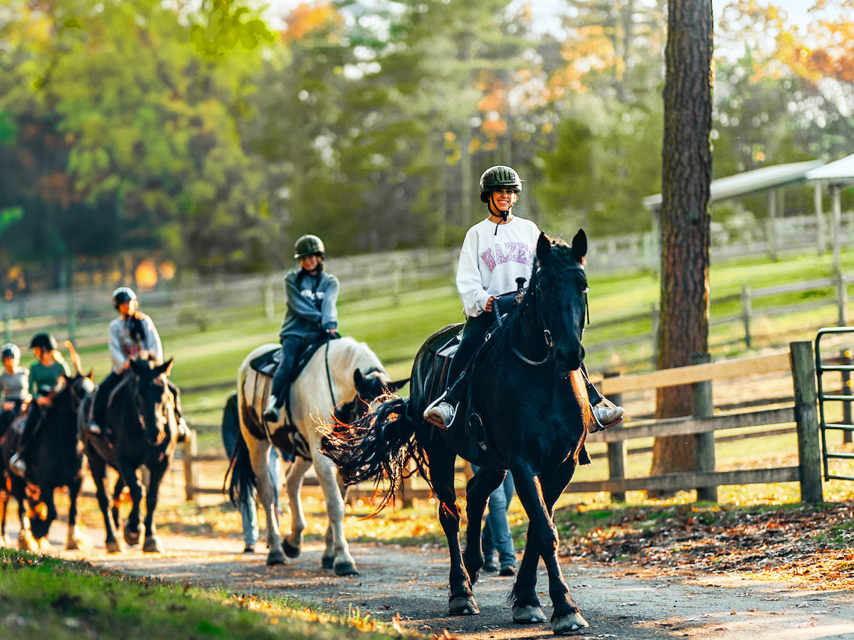 People are riding horses along a trail surrounded by trees and a fence on a sunny day.