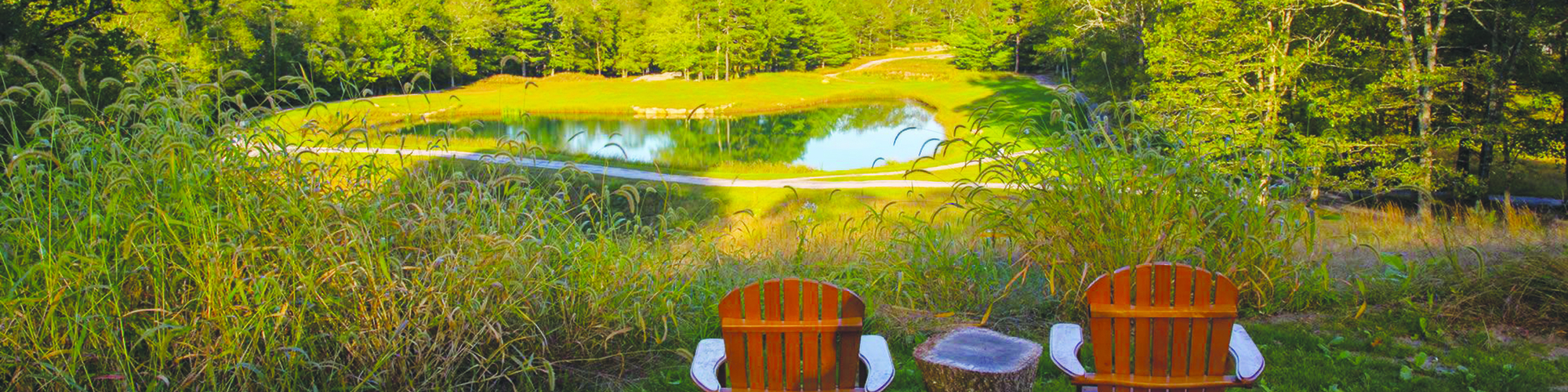 Two wooden chairs and a stump table face a picturesque pond surrounded by trees and greenery. The scene is peaceful and inviting.