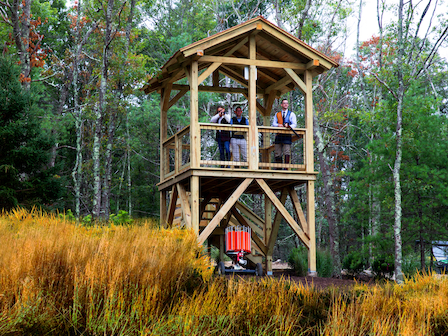 A group of people standing on a wooden observation tower in a forested area, surrounded by trees and yellow grasses, enjoying the scenic view.