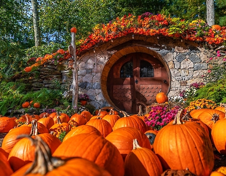 A whimsical garden scene with pumpkins surrounds a round wooden door set in a stone structure, adorned with vibrant flowers.