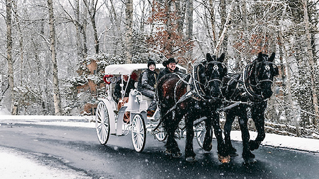 A horse-drawn carriage with two passengers travels along a snowy road, surrounded by bare trees and light snowfall.