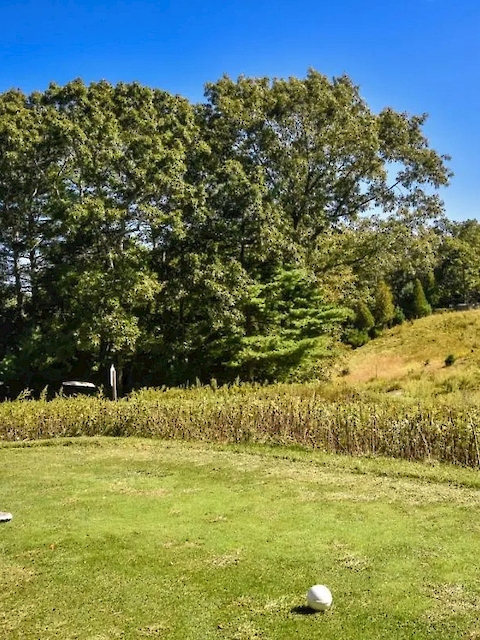 A person is teeing off on a golf course, surrounded by green grass and trees under a clear blue sky.