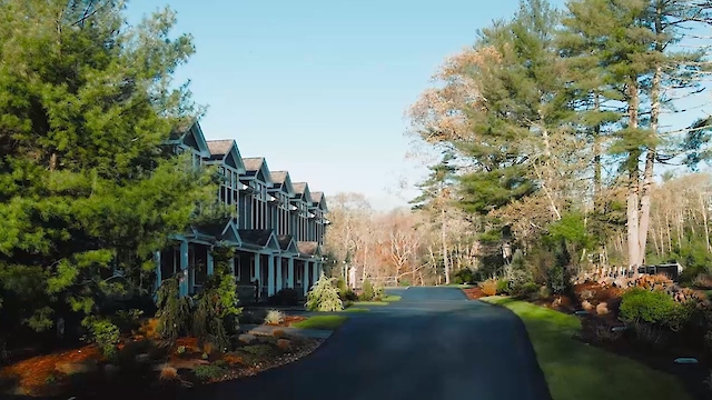 A row of townhouses is on the left, facing a paved road, surrounded by lush greenery and trees under a clear blue sky.