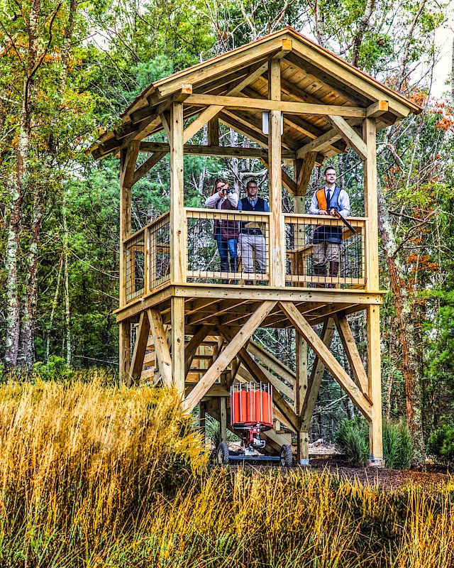 A wooden observation tower in a forested area with people standing on the platform, surrounded by trees and tall grass.