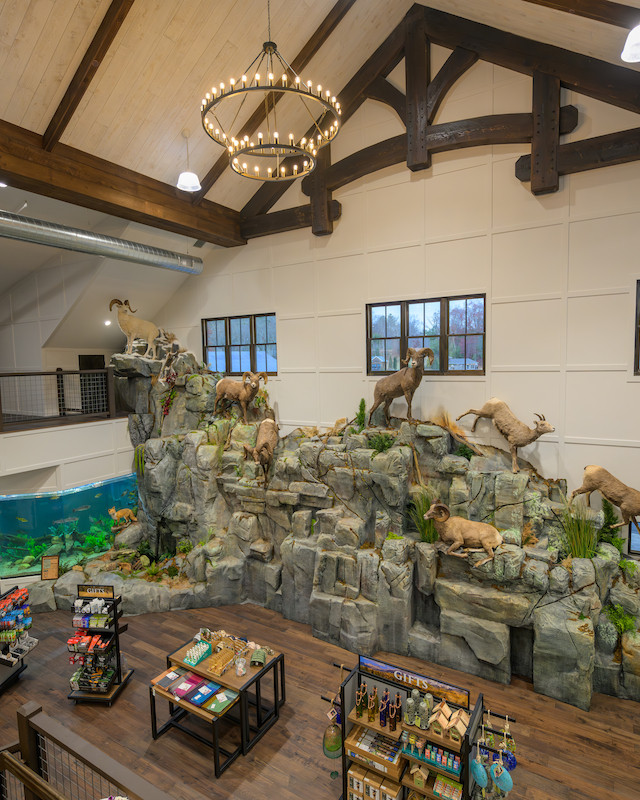 A store interior with a nature-themed display featuring mountain goats on rocks, shelves with products, and a decorative chandelier above.