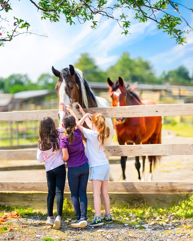 Three children are petting a horse near a wooden fence, with another horse in the background, on a bright sunny day.