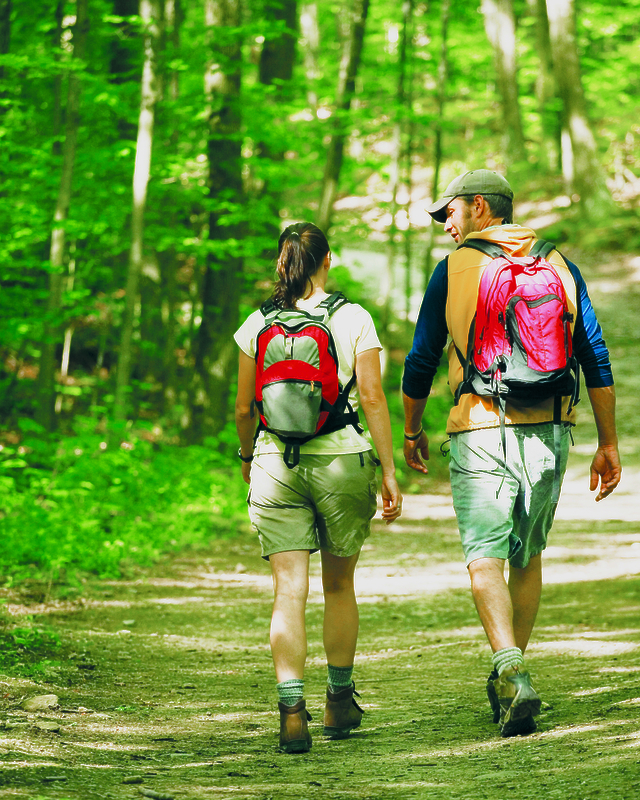 Two people are hiking through a lush green forest, carrying backpacks, walking along a sunlit trail.