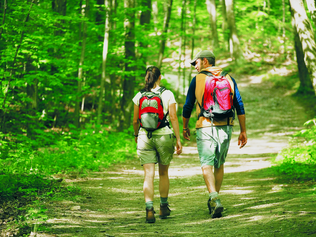 Two people with backpacks are walking on a forest trail, surrounded by vibrant green foliage under sunlight.